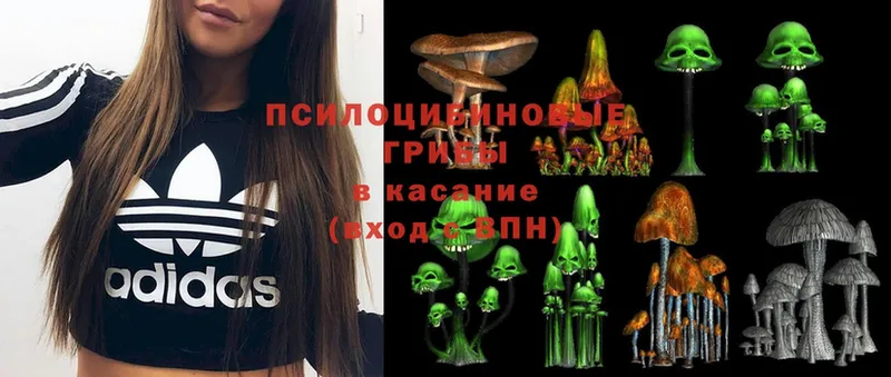 что такое   Уссурийск  Галлюциногенные грибы Psilocybine cubensis 